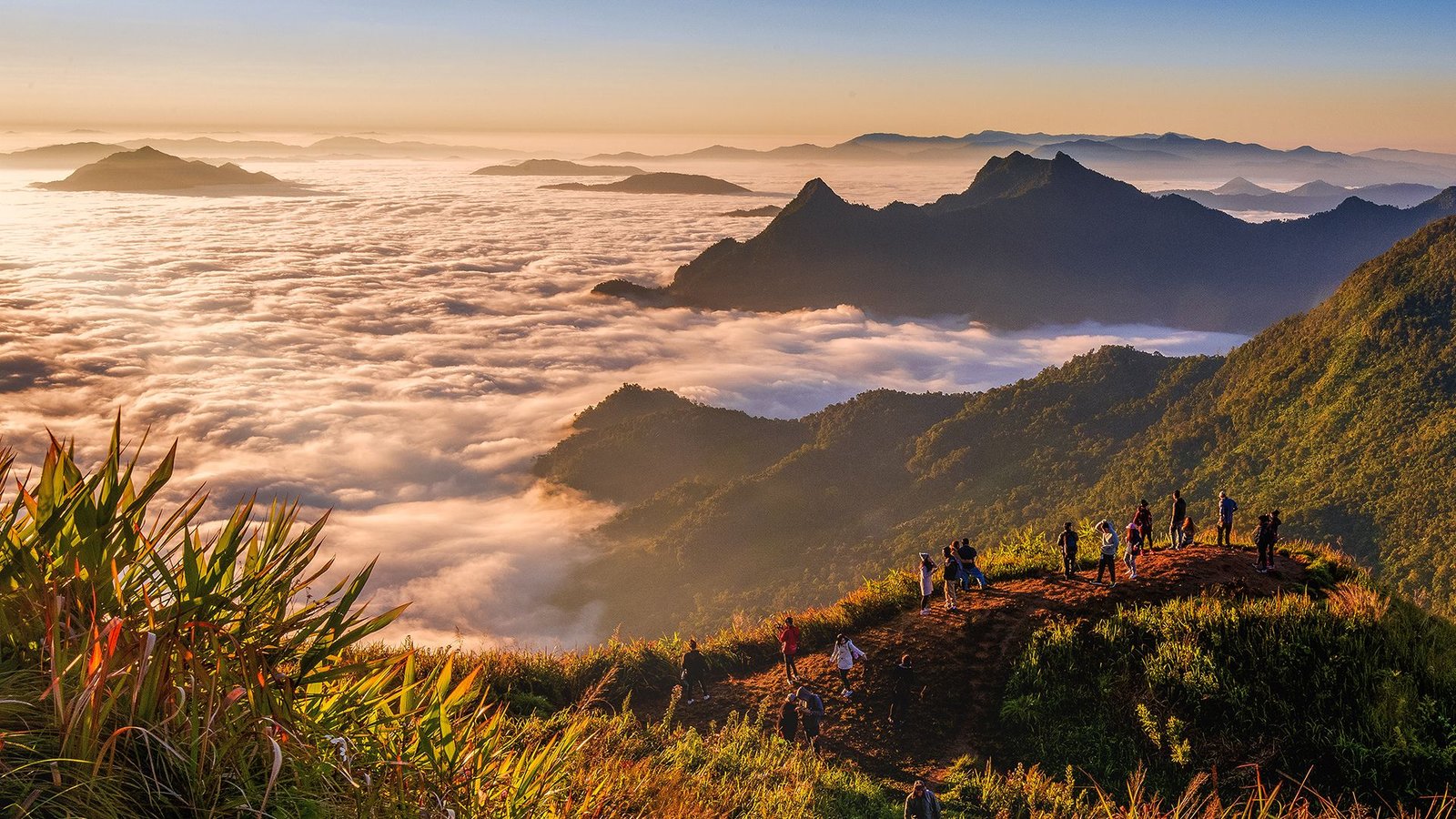 1e4317ee473956ad16337b8322b322c3