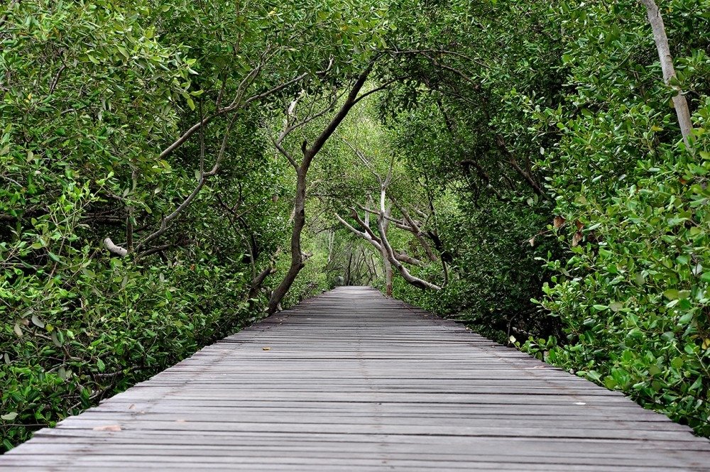 20180508e2bd75f5e35033711f9a85c271e9abf7151549