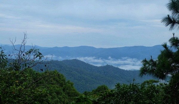 doi_khun_tan_national_park01