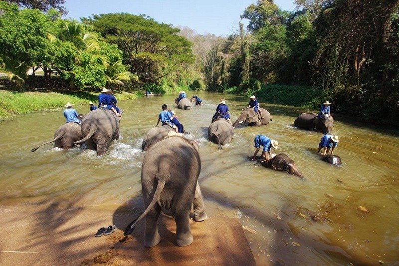 elephant_conservation_center03